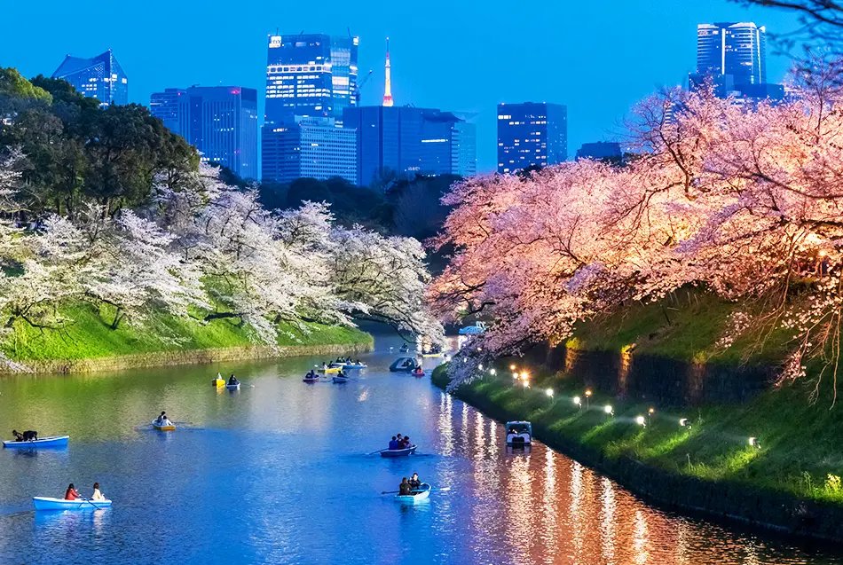 🌸 오나카 공원 (오나카 코엔) 이미지 8